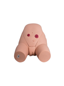 CATHETERIZATION SIMULATOR FEMALE 